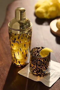 Tort 20 oz Confetti Glass Cocktail Shaker