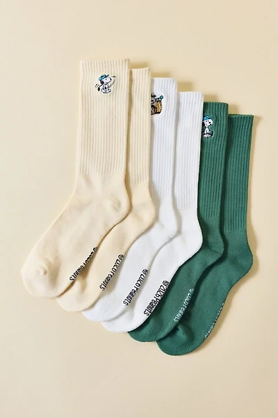 Peanuts Snoopy Swingin' Icon Crew Sock 3-Pack