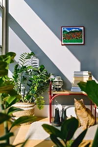 MIRAGE SF Stamio Bench