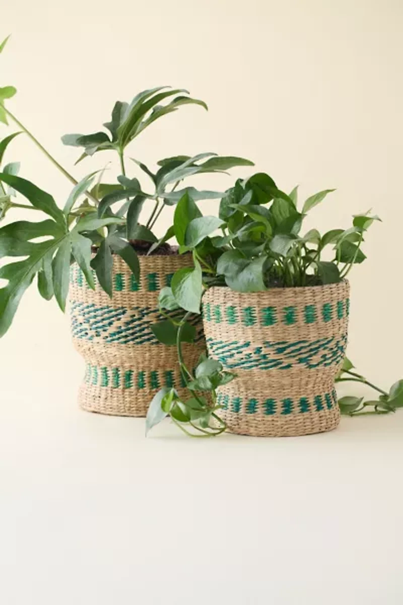 Rattan Seagrass Plant Holder Set