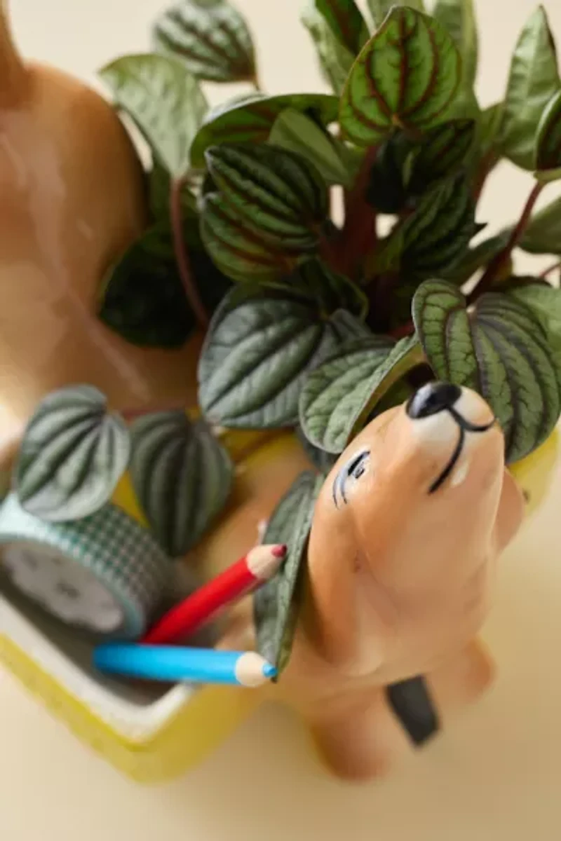 Dog Shaped Two-Section Ceramic Planter