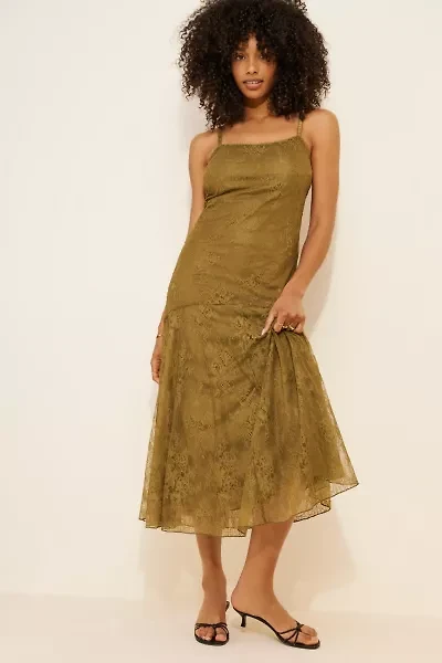 Steve Madden Veera Lace Midi Dress