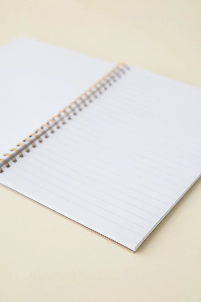 And Here We Are Delft Tile Patterned Notebook