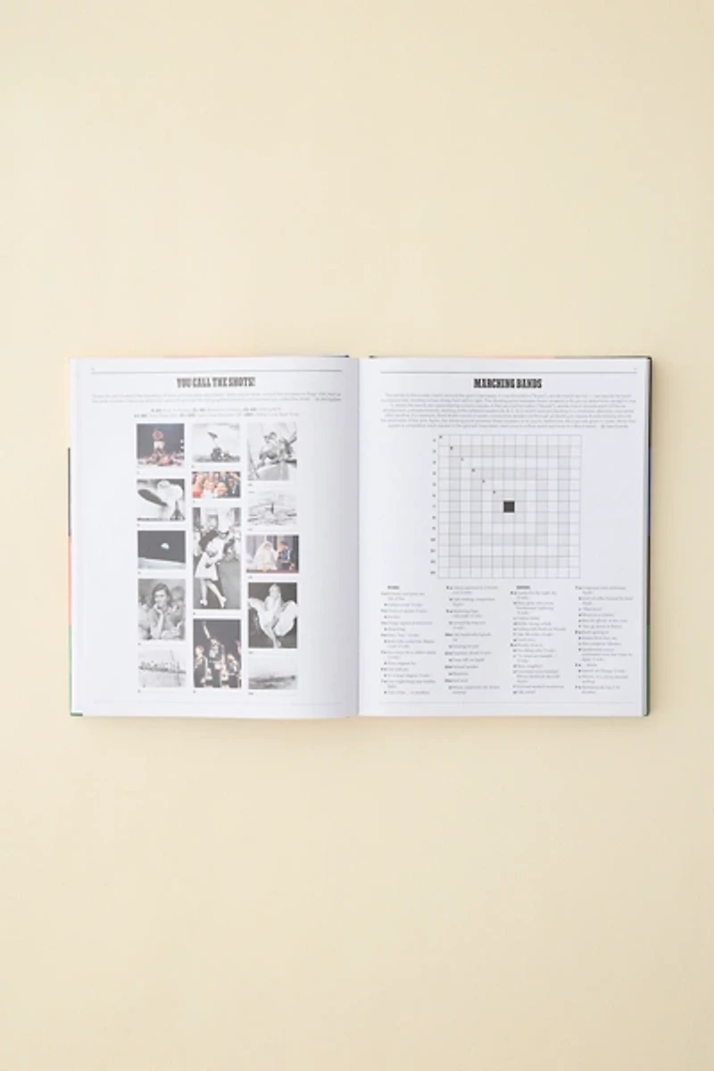 Puzzle Mania!: Wordle, Connections, Spelling Bee, Minis And More! By Joel Fagliano & New York Times Games