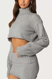 Edikted Gino Cropped Turtle Neck Sweater