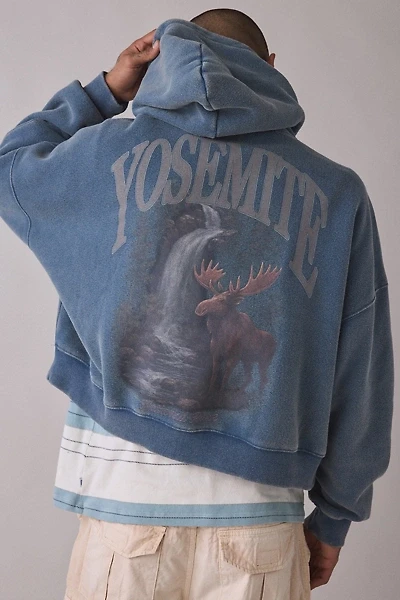 Yosemite Falls Graphic Hoodie Sweatshirt