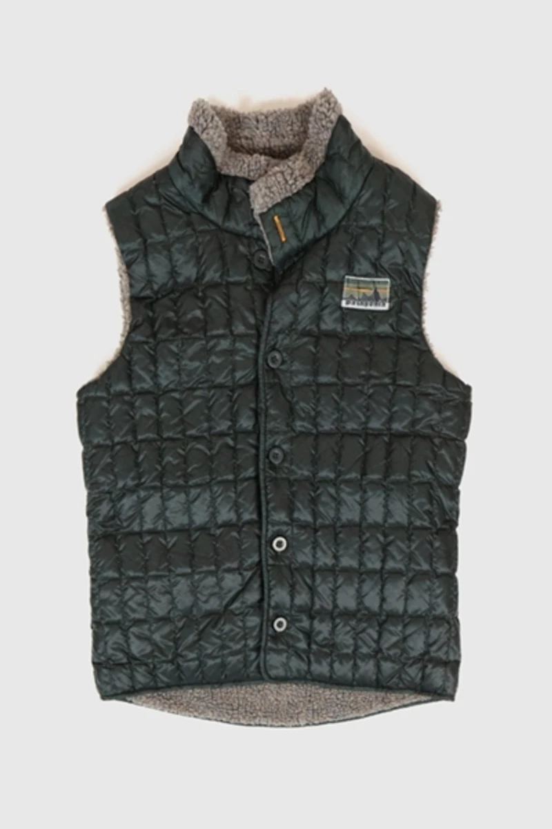 Vintage Patagonia Reversibe Vest
