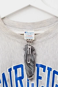 Vintage 1990s Distressed Champion Reverse Weave Fairleigh Dickinson Spell Out Sweatshirt