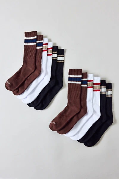Standard Cloth Athletic Stripe Crew Sock 6-Pack