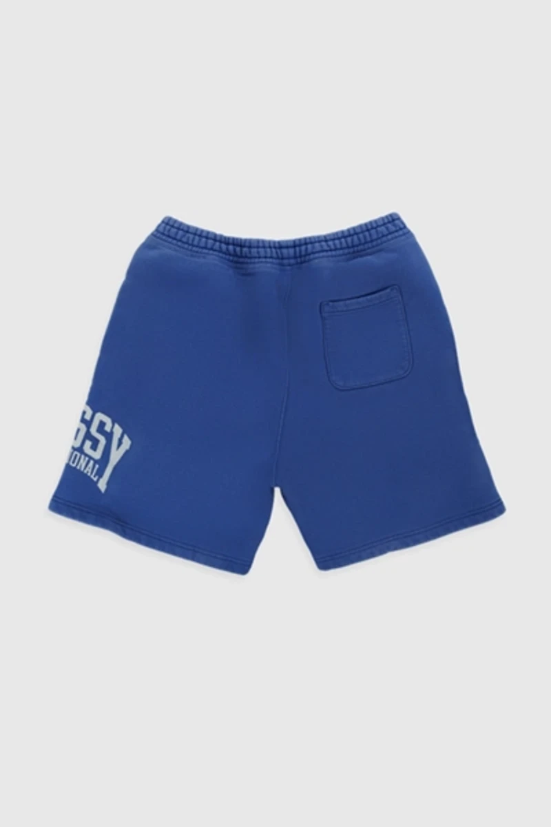 Stussy Stüssy Intl Short