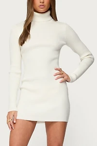Edikted Turtle Neck Ribbed Knit Mini Dress