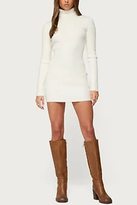 Edikted Turtle Neck Ribbed Knit Mini Dress
