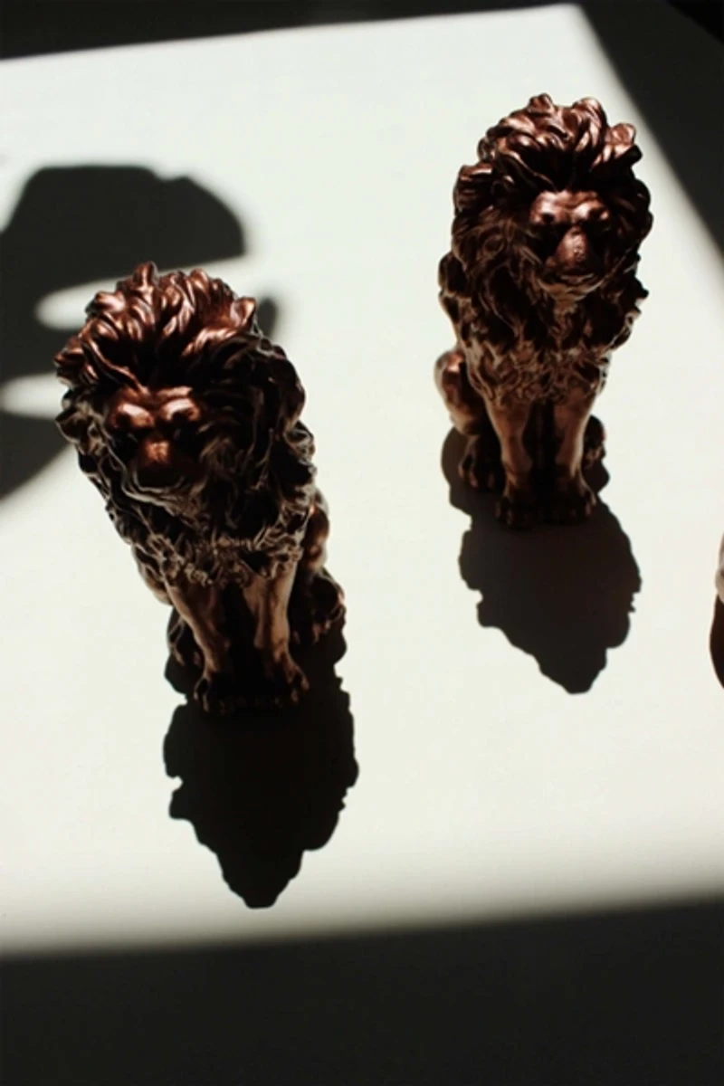 Acquired Taste Leo Incense Stick Holder