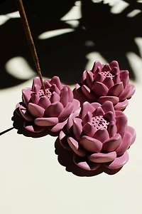 Acquired Taste Lotus Incense Stick Holder