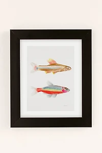 Esca Watercolors Colorful Fish Art Print