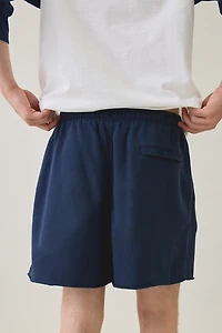 Nike Club Flow Sport Shorts