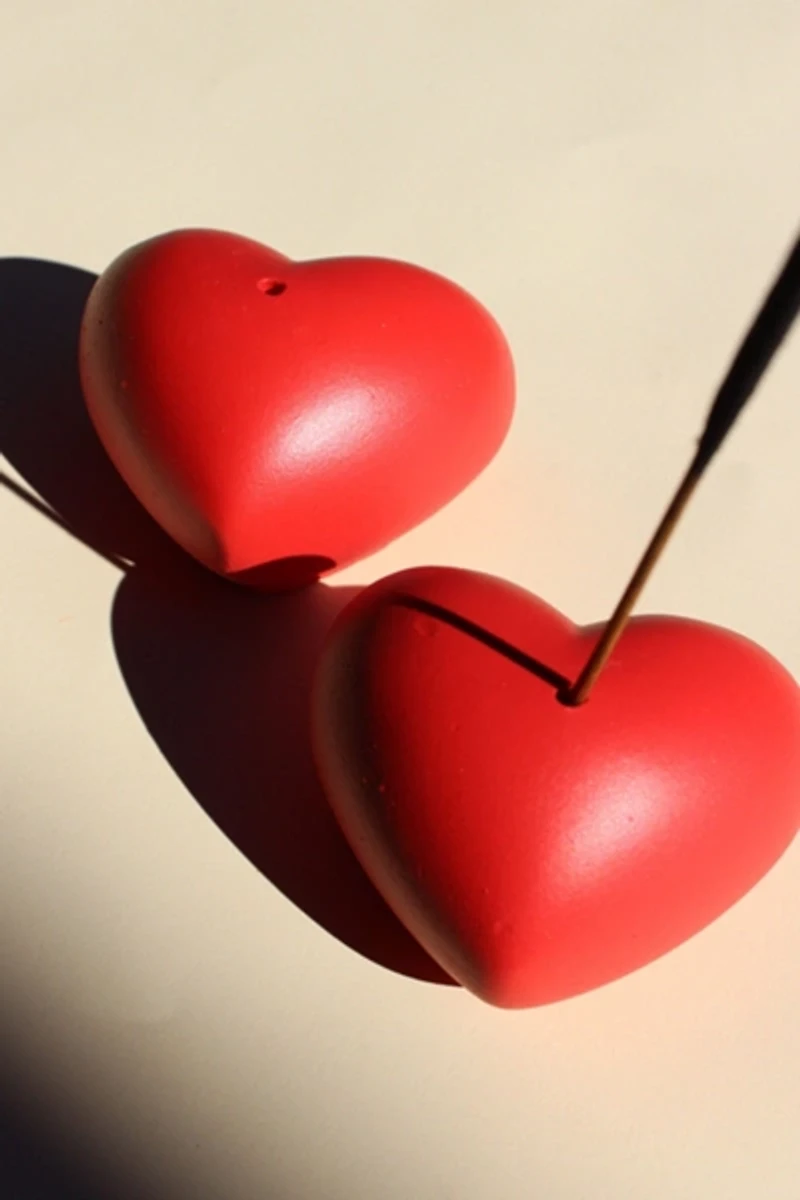 Acquired Taste Wild Heart Incense Stick Holder