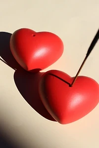 Acquired Taste Wild Heart Incense Stick Holder