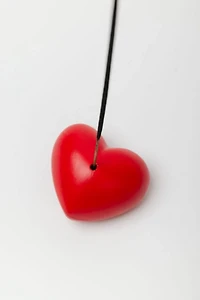 Acquired Taste Wild Heart Incense Stick Holder