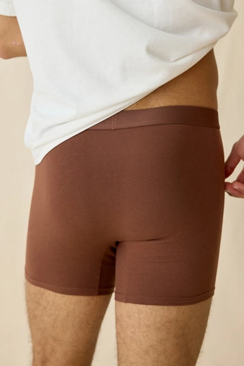 Standard Cloth Stretch Boxer Brief 3-Pack