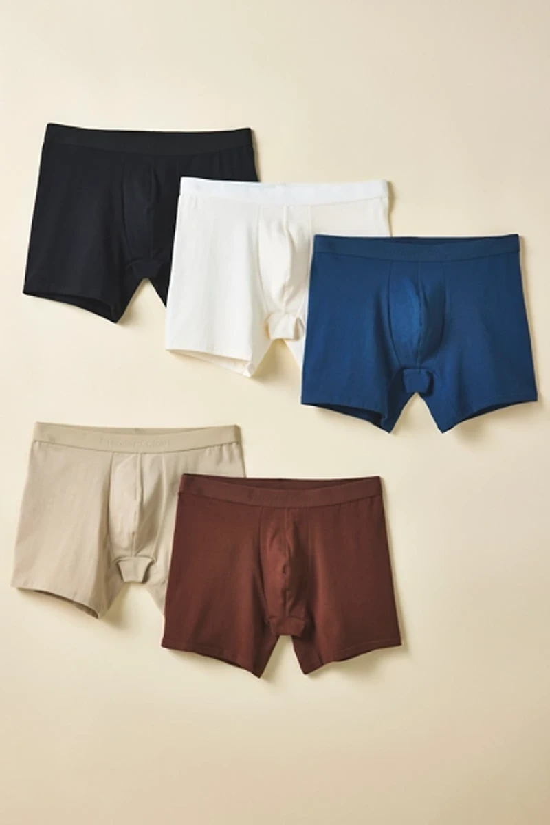Standard Cloth Stretch Boxer Brief 5-Pack