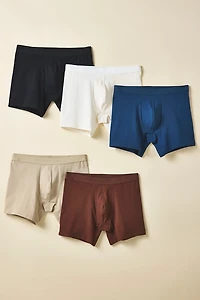 Standard Cloth Stretch Boxer Brief 5-Pack