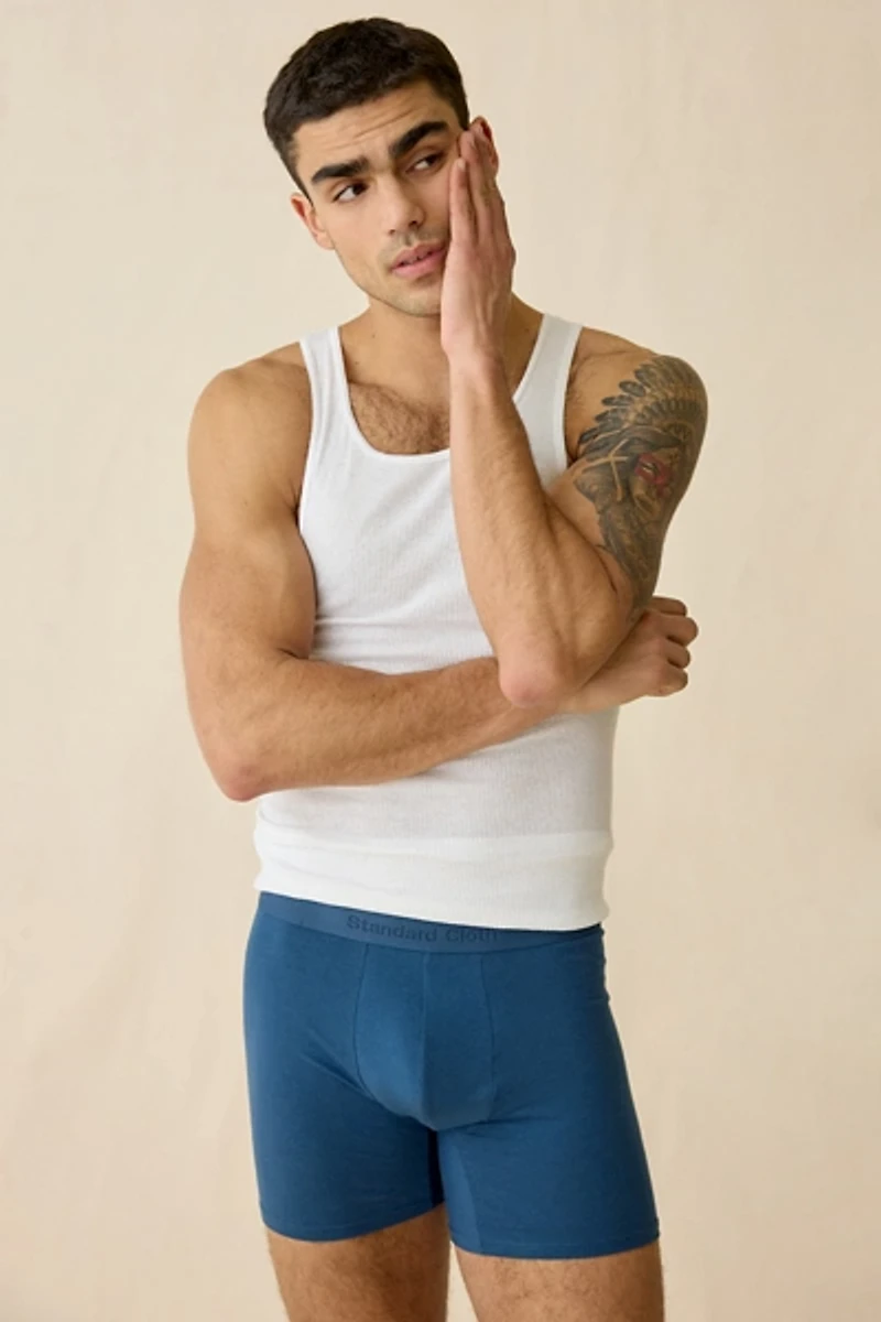 Standard Cloth Stretch Boxer Brief 5-Pack