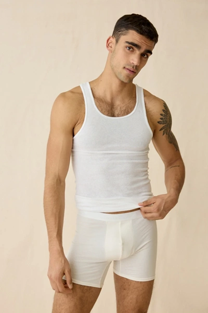 Standard Cloth Stretch Boxer Brief 5-Pack