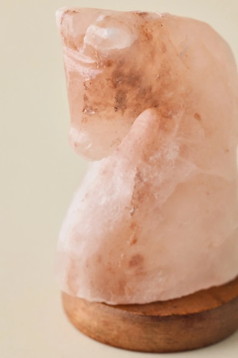 Mini USB Horse Himalayan Salt Lamp