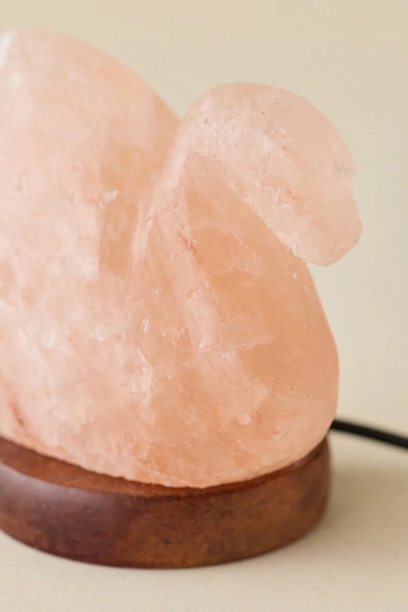 Mini USB Duck Himalayan Salt Lamp