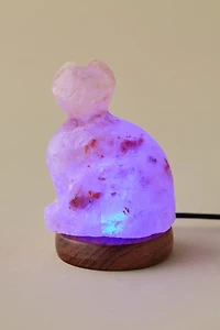Mini USB Cat Himalayan Salt Lamp