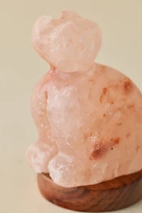 Mini USB Cat Himalayan Salt Lamp