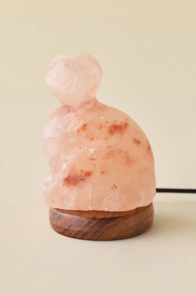 Mini USB Cat Himalayan Salt Lamp