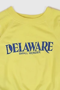Vintage Delaware Small Wonder Crewneck
