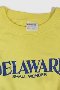 Vintage Delaware Small Wonder Crewneck