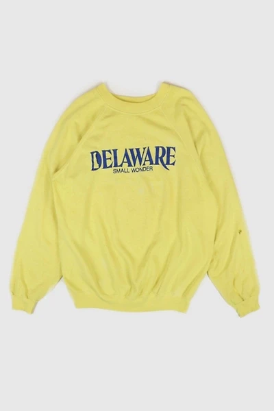 Vintage Delaware Small Wonder Crewneck