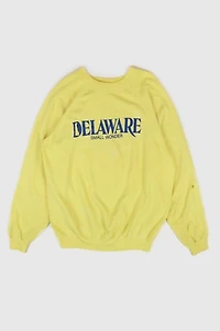 Vintage Delaware Small Wonder Crewneck
