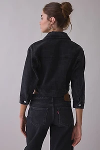 Steve Madden Dove Studded Flower Cropped Denim Jacket