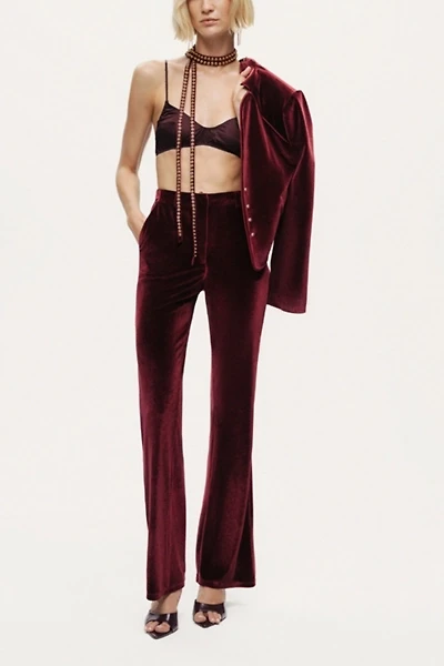 Nocturne Velvet Bootcut Trousers