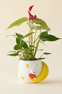 Miffy Moon Star Ceramic Planter