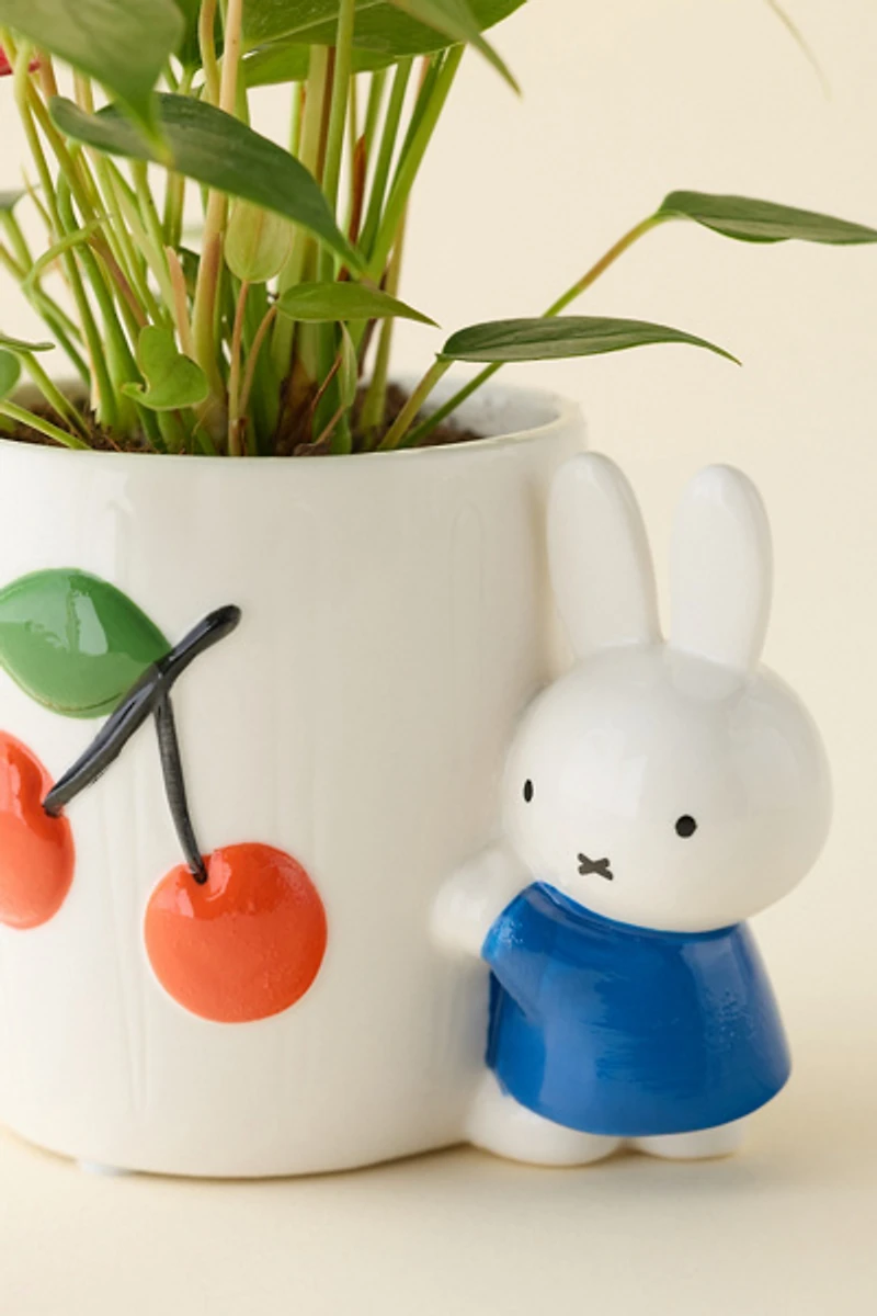 Miffy Cherry Ceramic Planter