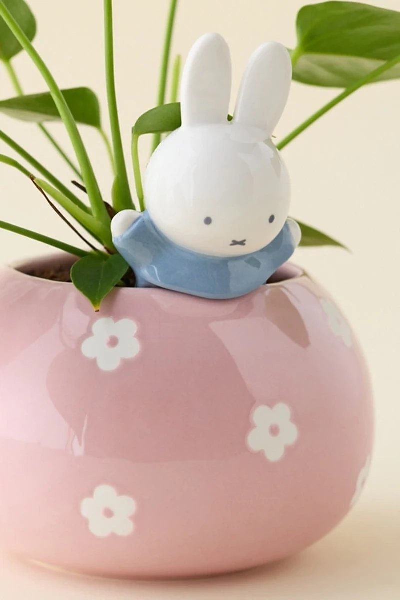 Miffy Peek-A-Bloom Floral Ceramic Planter