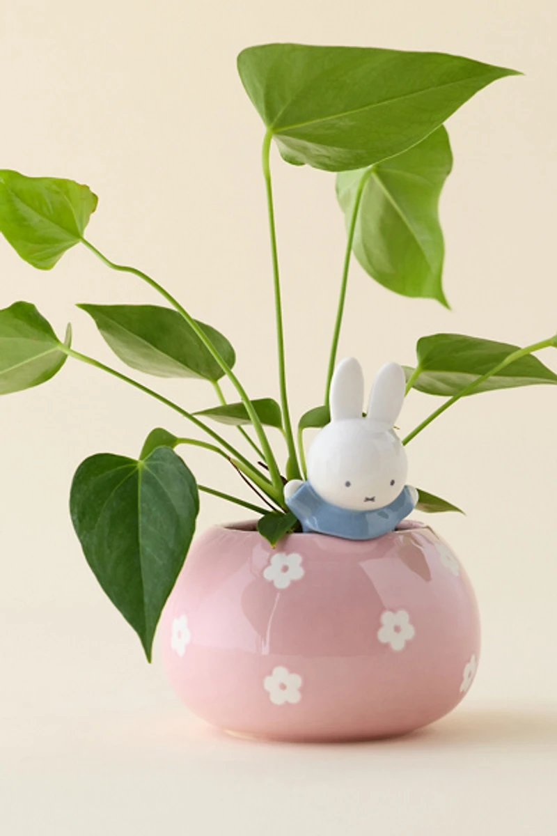 Miffy Peek-A-Bloom Floral Ceramic Planter
