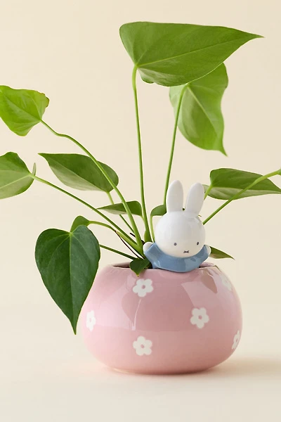Miffy Peek-A-Bloom Floral Ceramic Planter