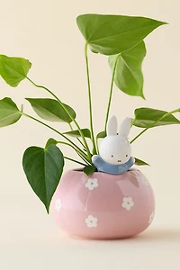 Miffy Peek-A-Bloom Floral Ceramic Planter