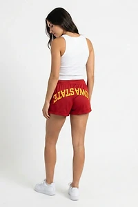Upside Iowa State Cyclones Mesh Shorts