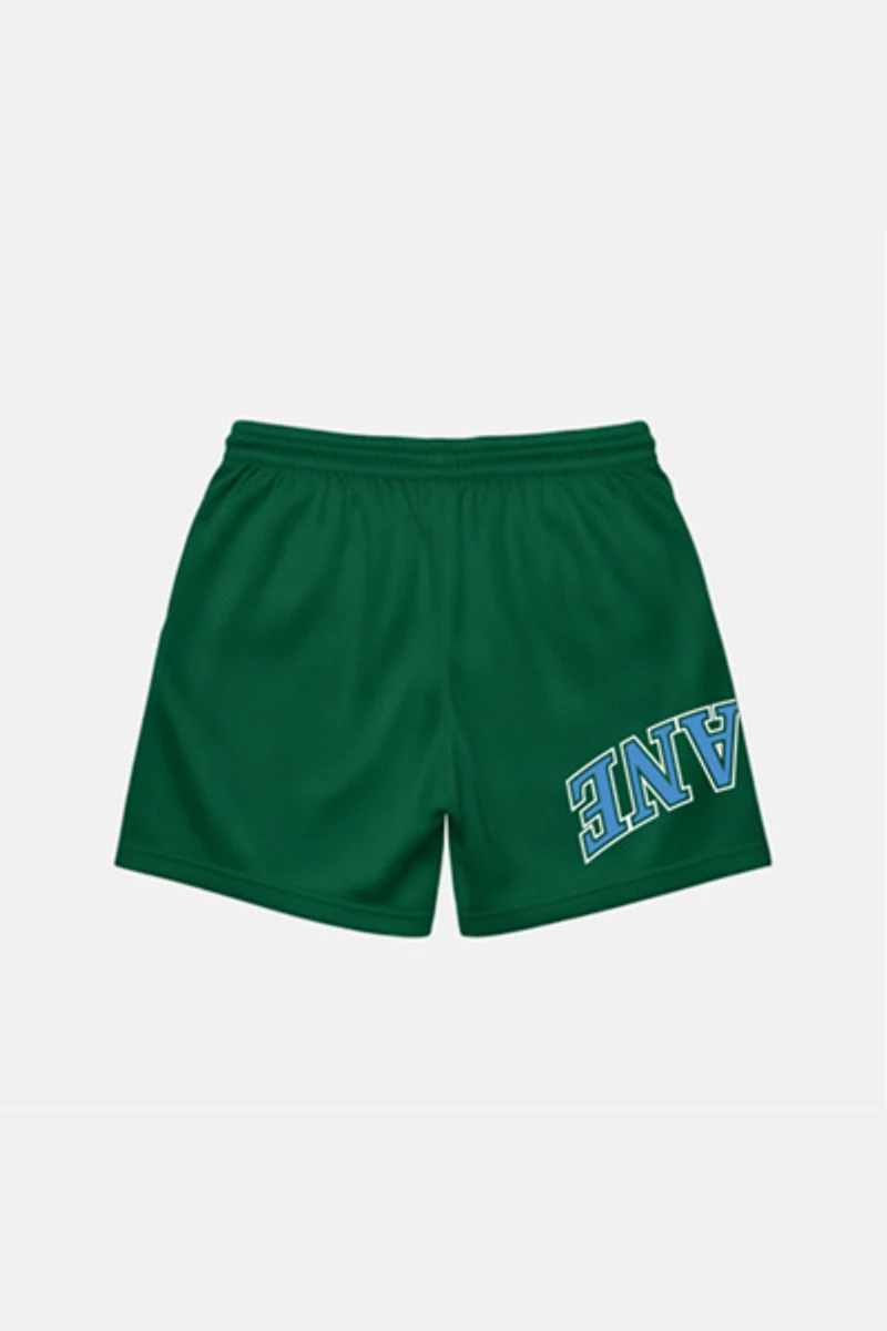 Upside Tulane Green Wave Mesh Shorts