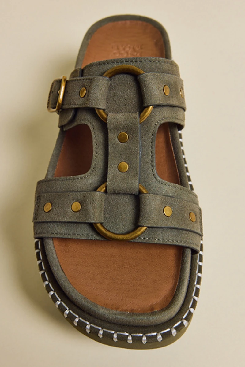 Frye & Co Ramblyn Harness Sandals