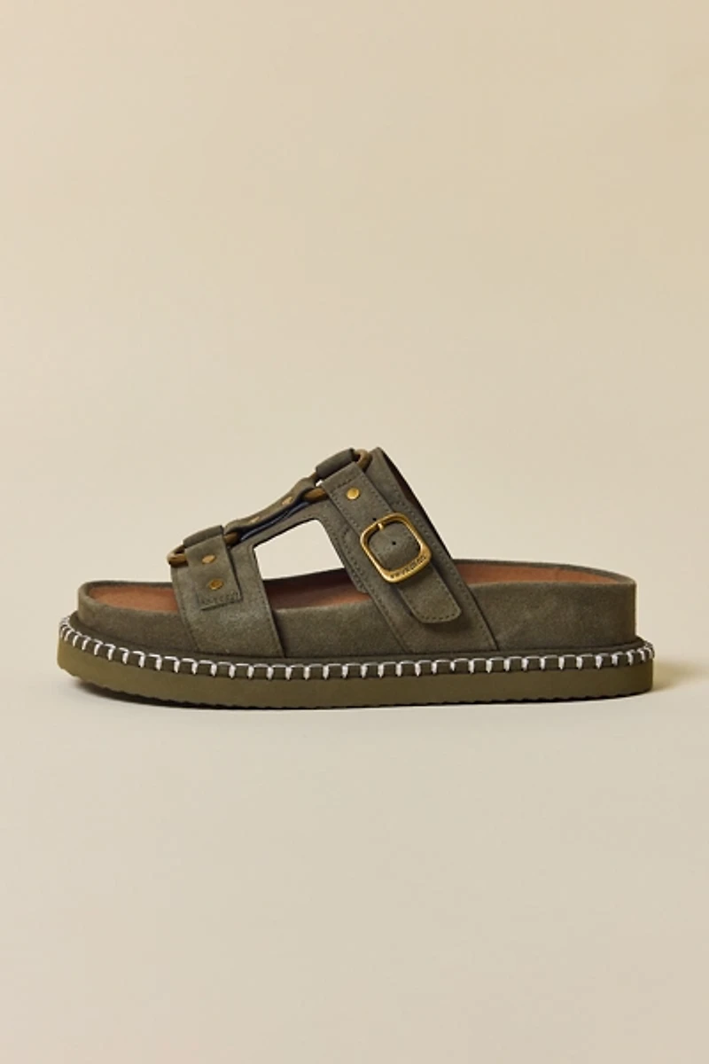 Frye & Co Ramblyn Harness Sandals