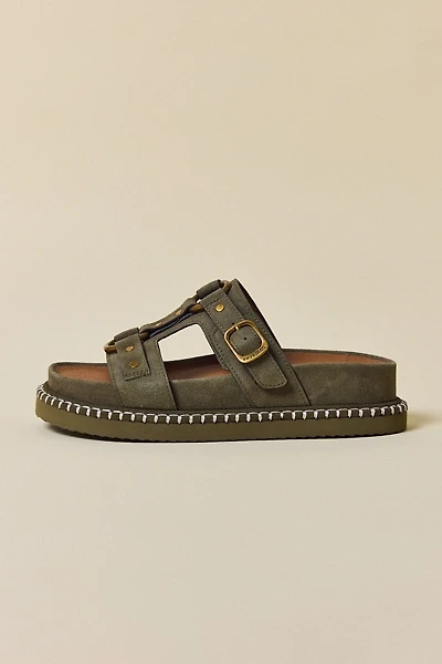 Frye & Co Ramblyn Harness Sandals